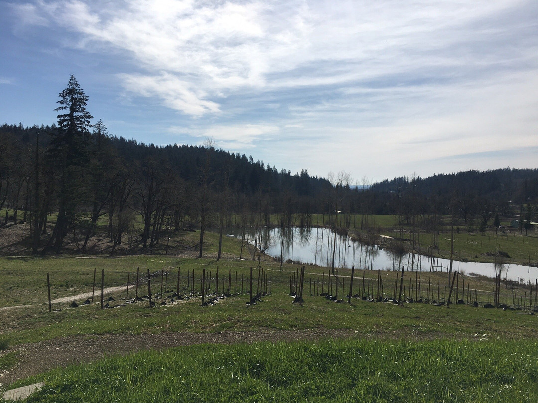 St. Innocent Winery-Jefferson必去景点