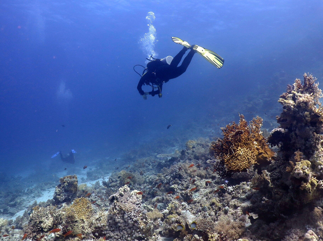Easy Divers-沙姆沙伊赫必去景点