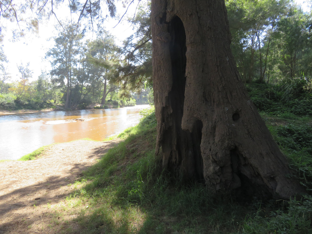 Bega River And Walk景点图片