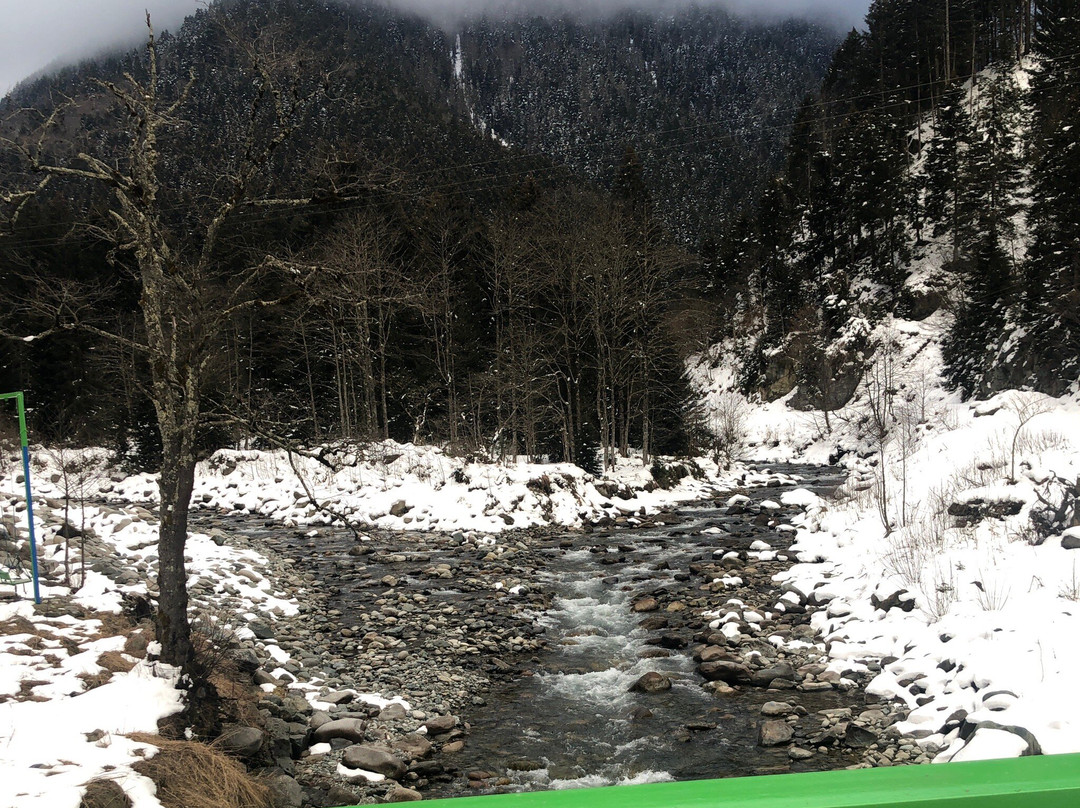 Rize Cancik Dag Evleri主图