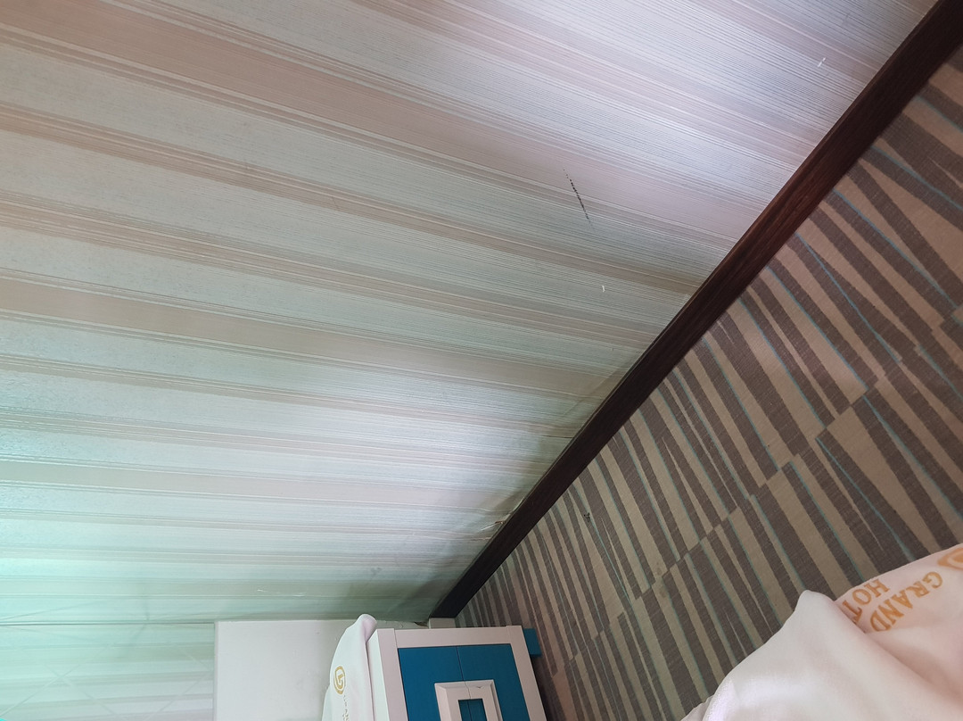 Grand Bursa Hotel主图