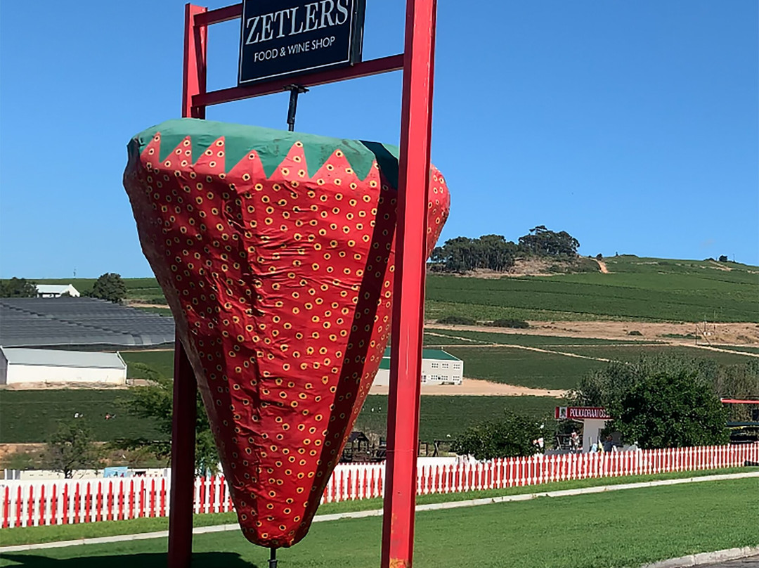 Polkadraai Farm-斯泰伦博斯必去景点