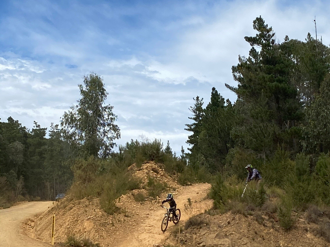 Mystic Mountain Bike Park景点图片