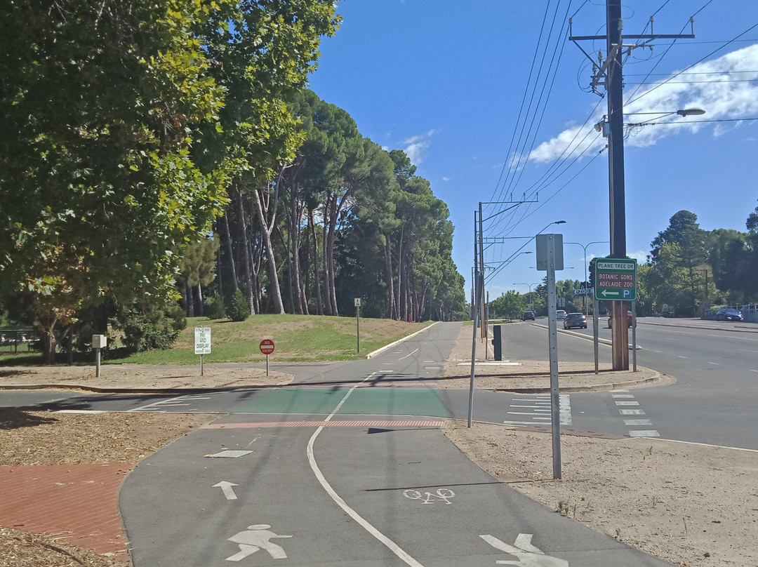 River Torrens Linear Park Trail景点图片