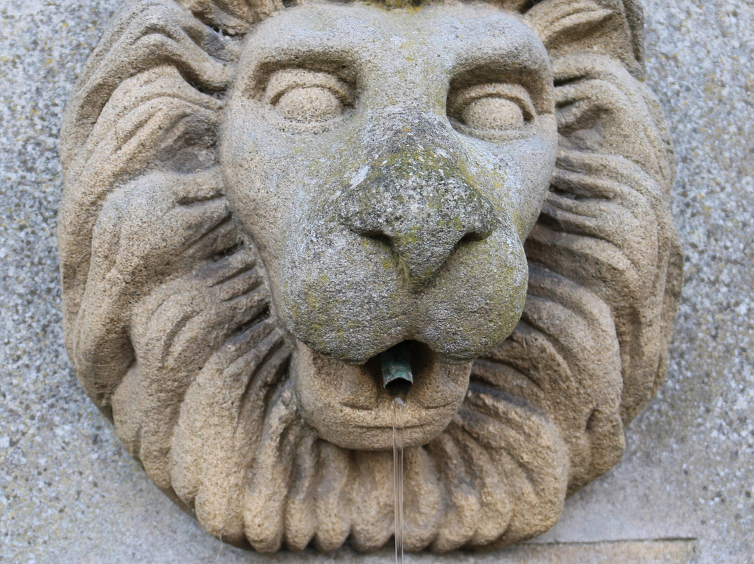 Samuel Turner Memorial Drinking Fountain-巴克斯顿必去景点
