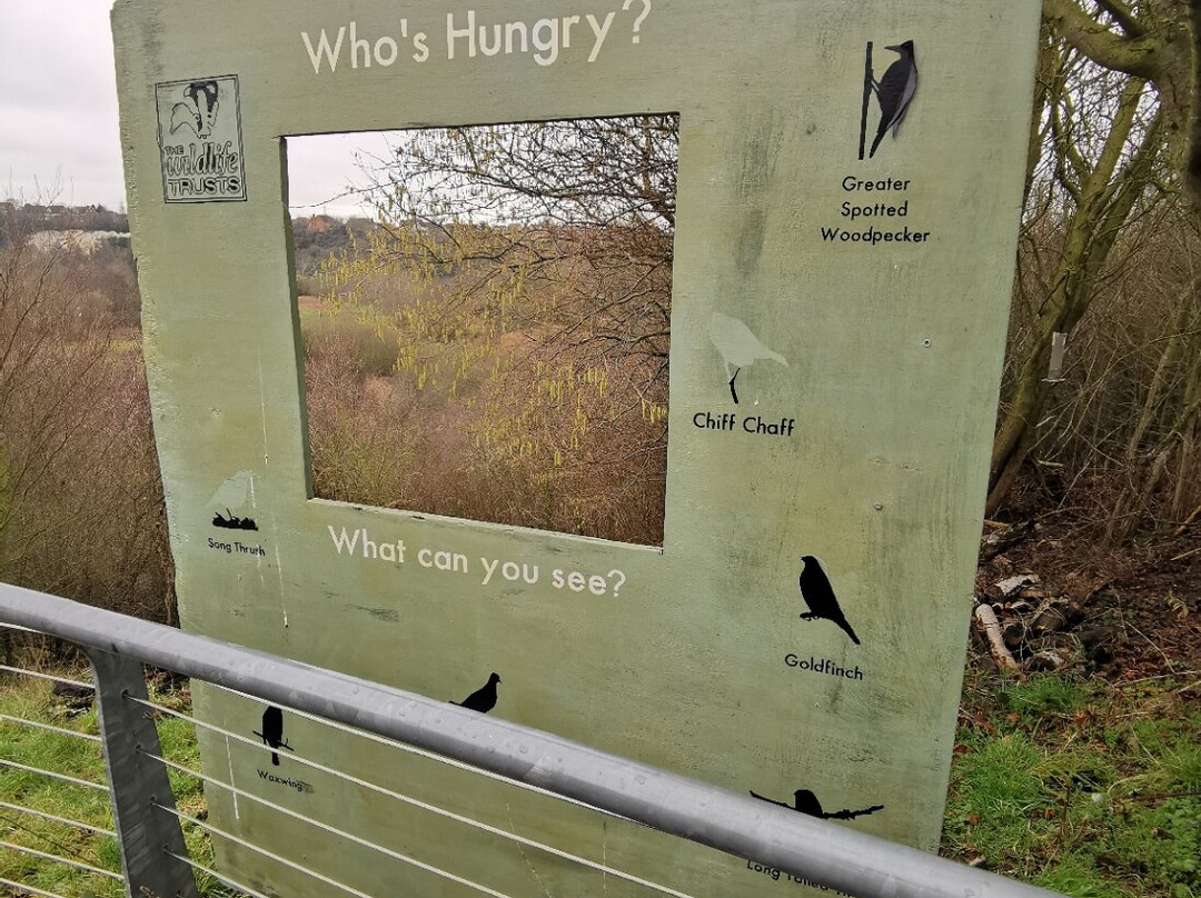 Essex Wildlife Trust Chafford Gorges Nature Park景点图片