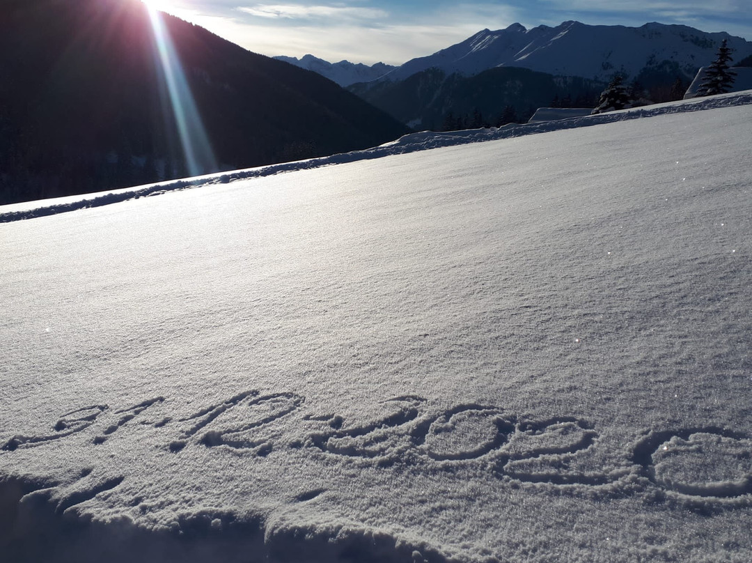 Alpenhotel Penserhof主图