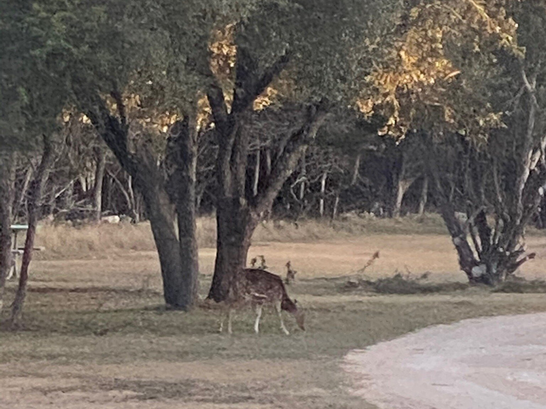 Cave Without a Name-Boerne必去景点