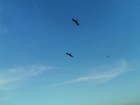 Dulce maricela Hernández Pérez-图伦必去景点