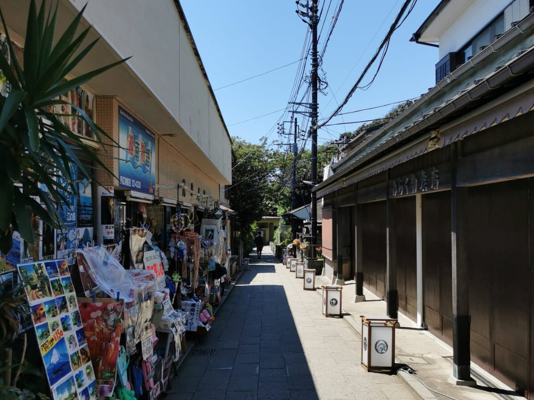 Oiwayado Street-藤泽市必去景点