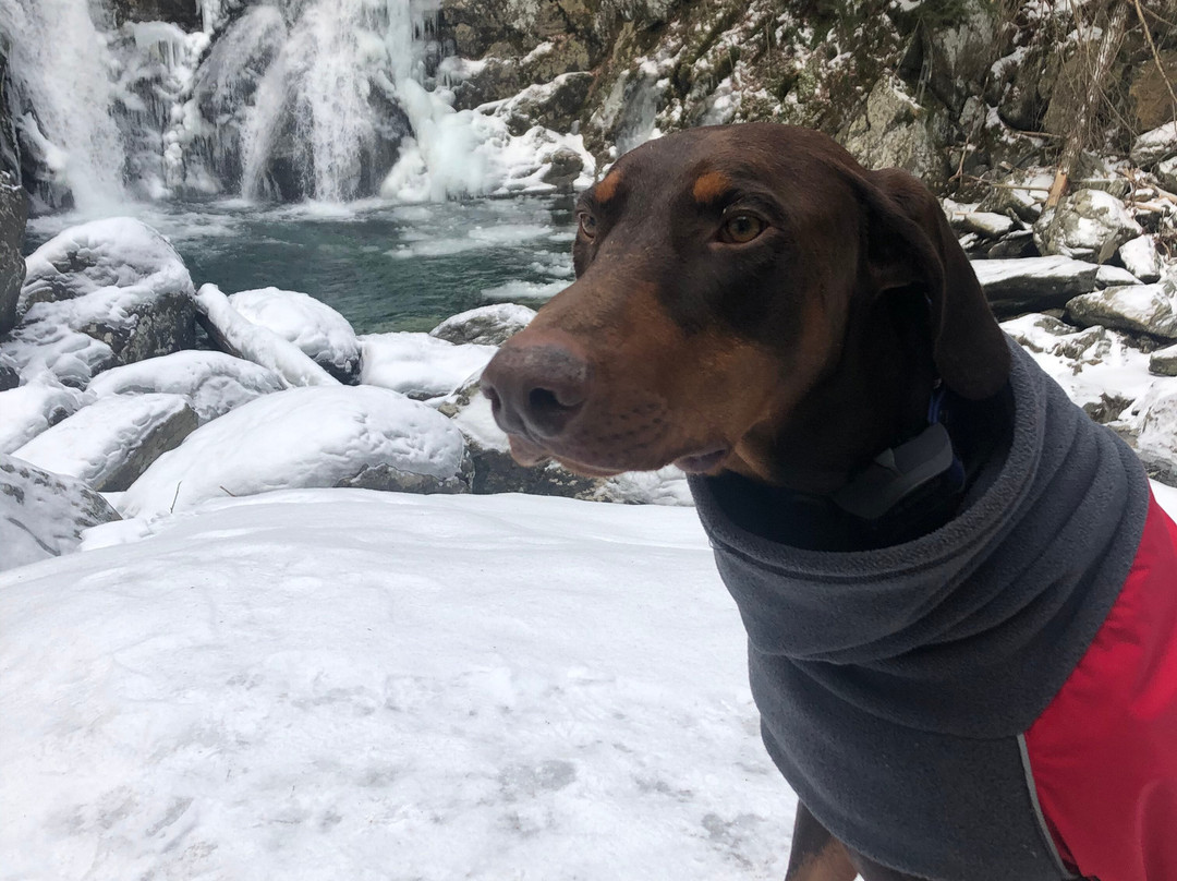 Shaker Mill Inn主图