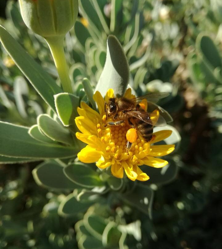 Agriturismo Casal Gheriglio主图