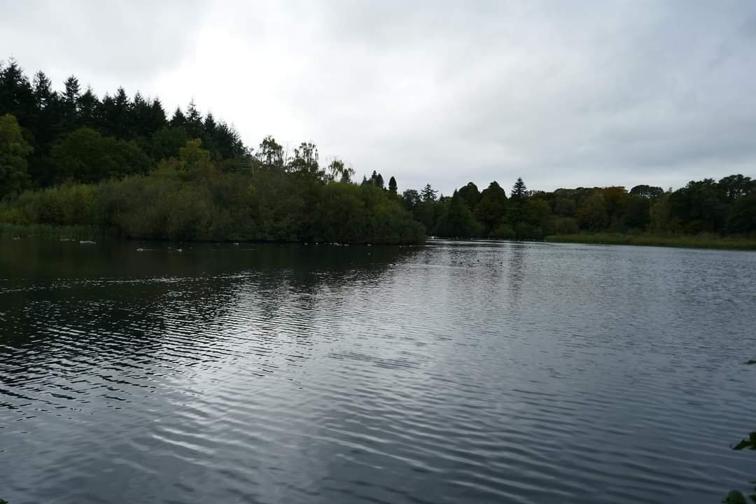 Stover Country Park and Nature Reserve景点图片