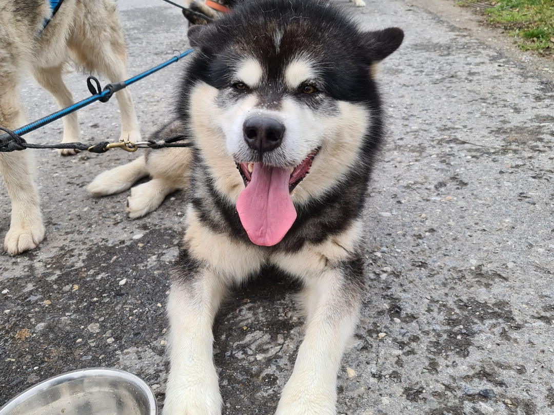 Ermenswil旅游攻略图片