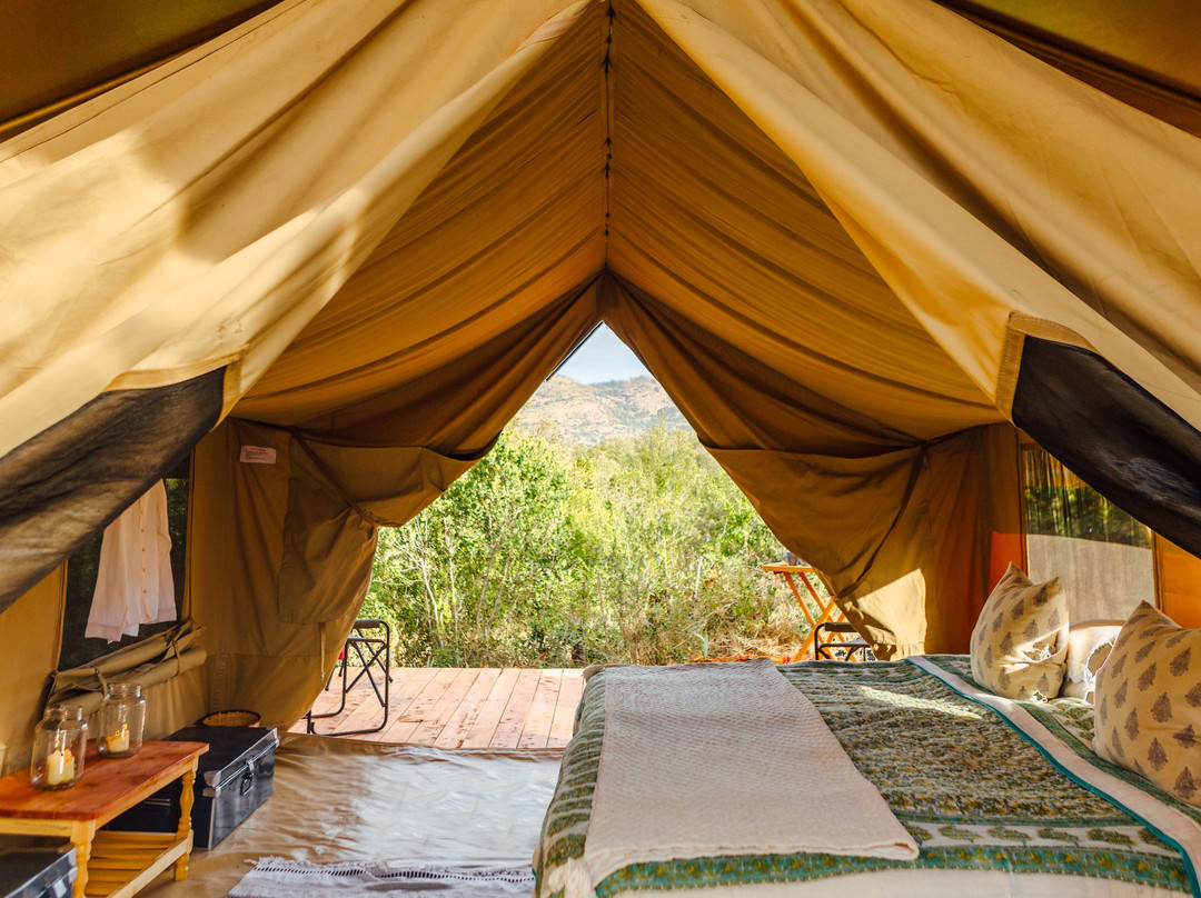 Moon's Camp - The Safari Series Lolldaiga