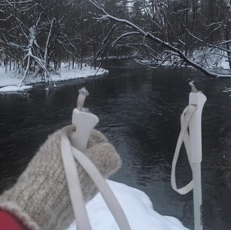 Apple Tree Lane Bed & Breakfast主图