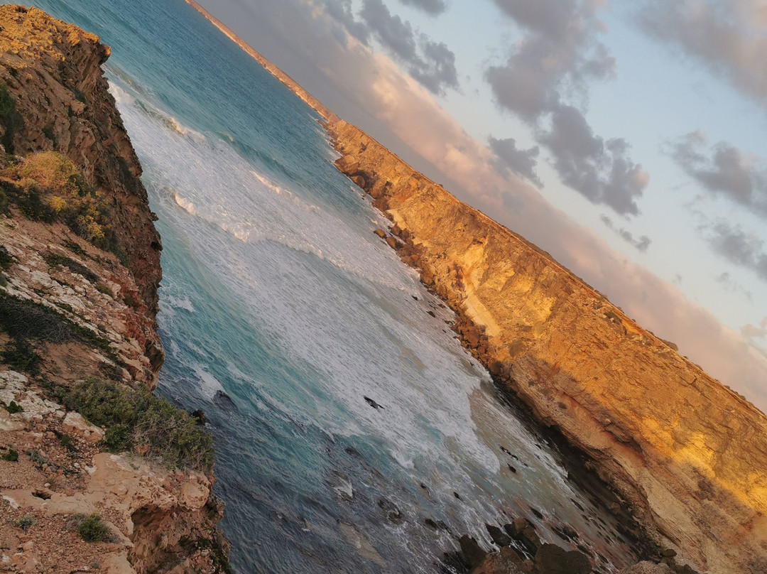 Head of Bight-Ceduna必去景点