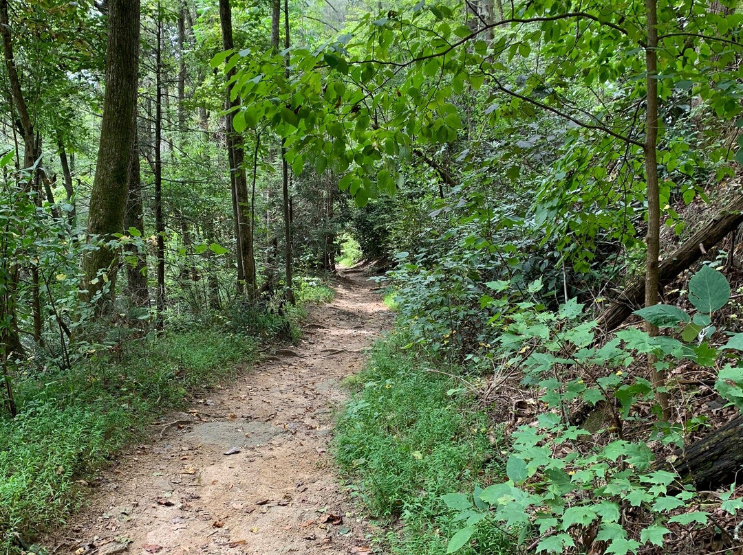 Pulliam Creek Trailhead景点图片