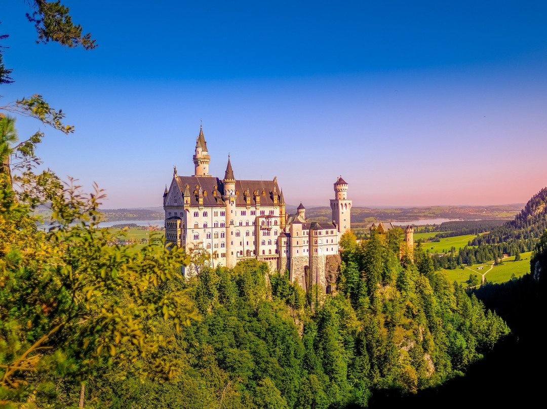 SCHIR Private Tours & Airport Transfers-阿姆斯特丹必去景点