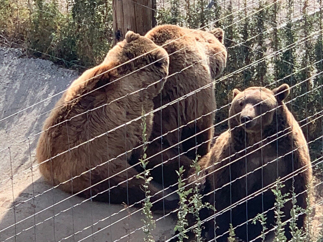 Wild Animal Sanctuary-Keenesburg必去景点