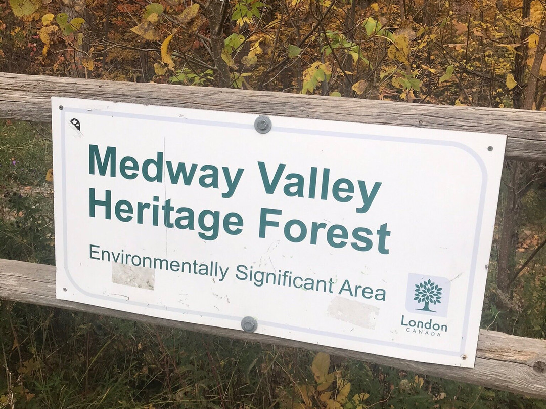Medway Valley Heritage Forest-伦敦必去景点