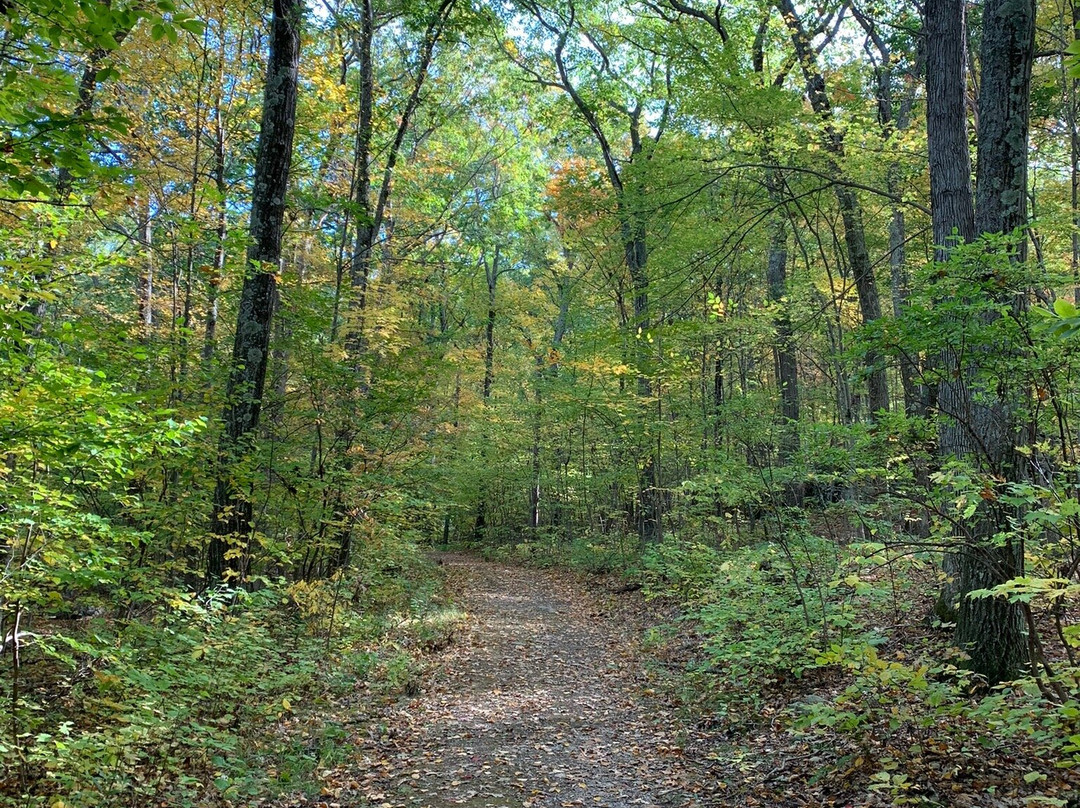 Mount Tom State Park景点图片