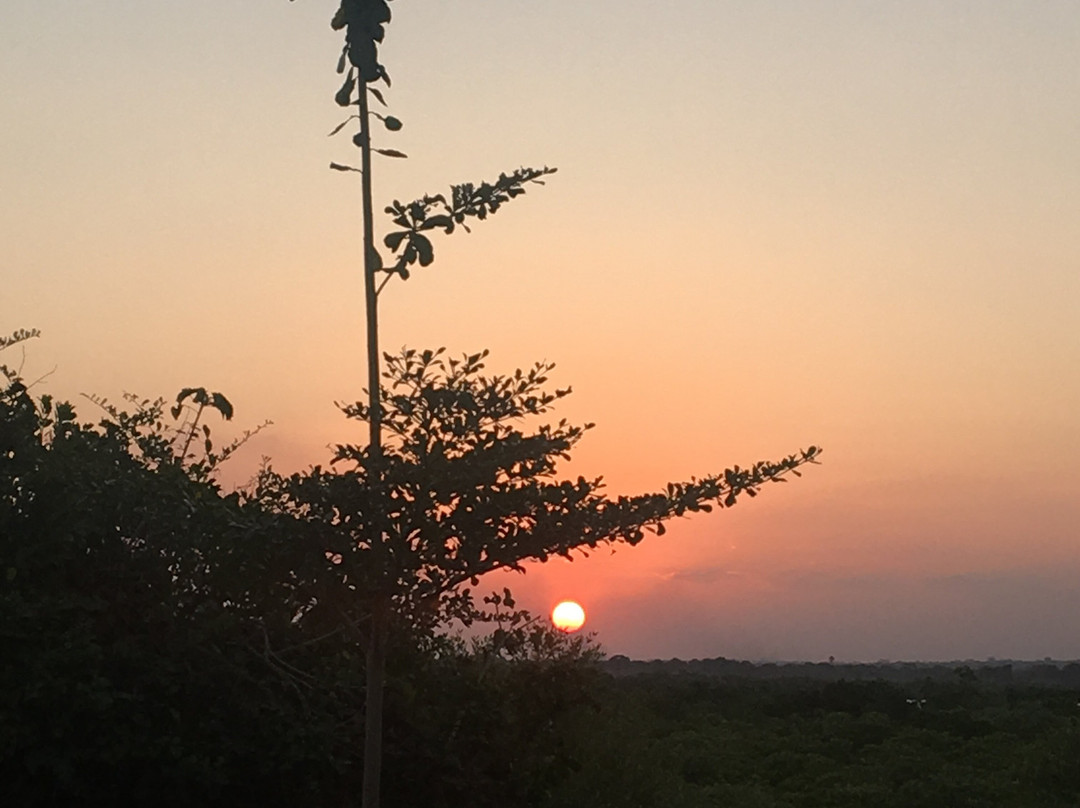 Villa Moringa Lodge主图