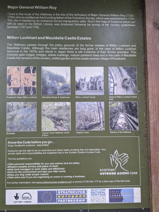 Mauldslie Woods