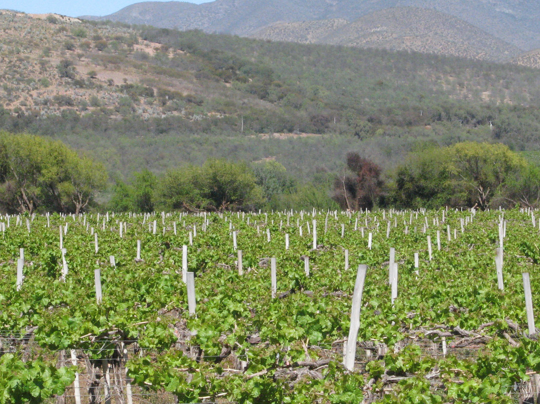 Hotel Club La Serena主图