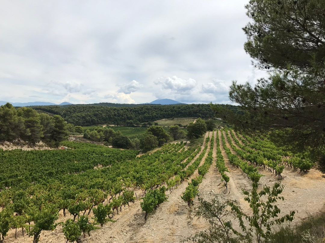 Domaine de Mourchon景点图片