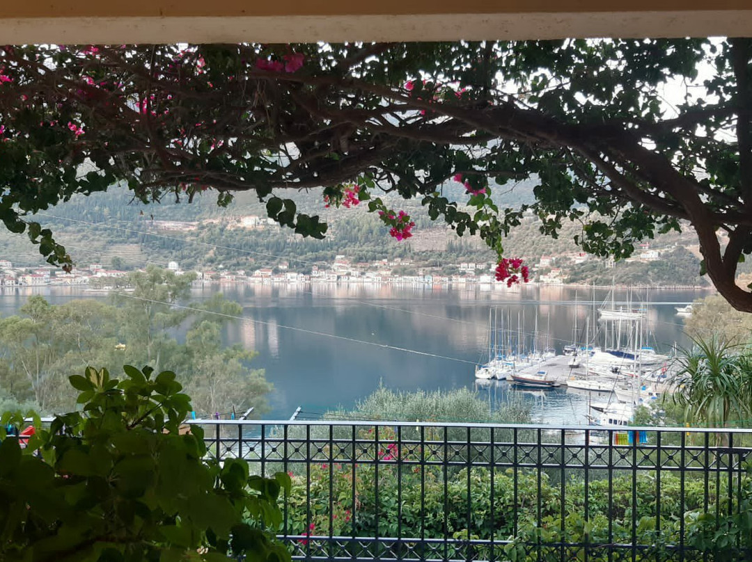 Odyssey Apartments主图