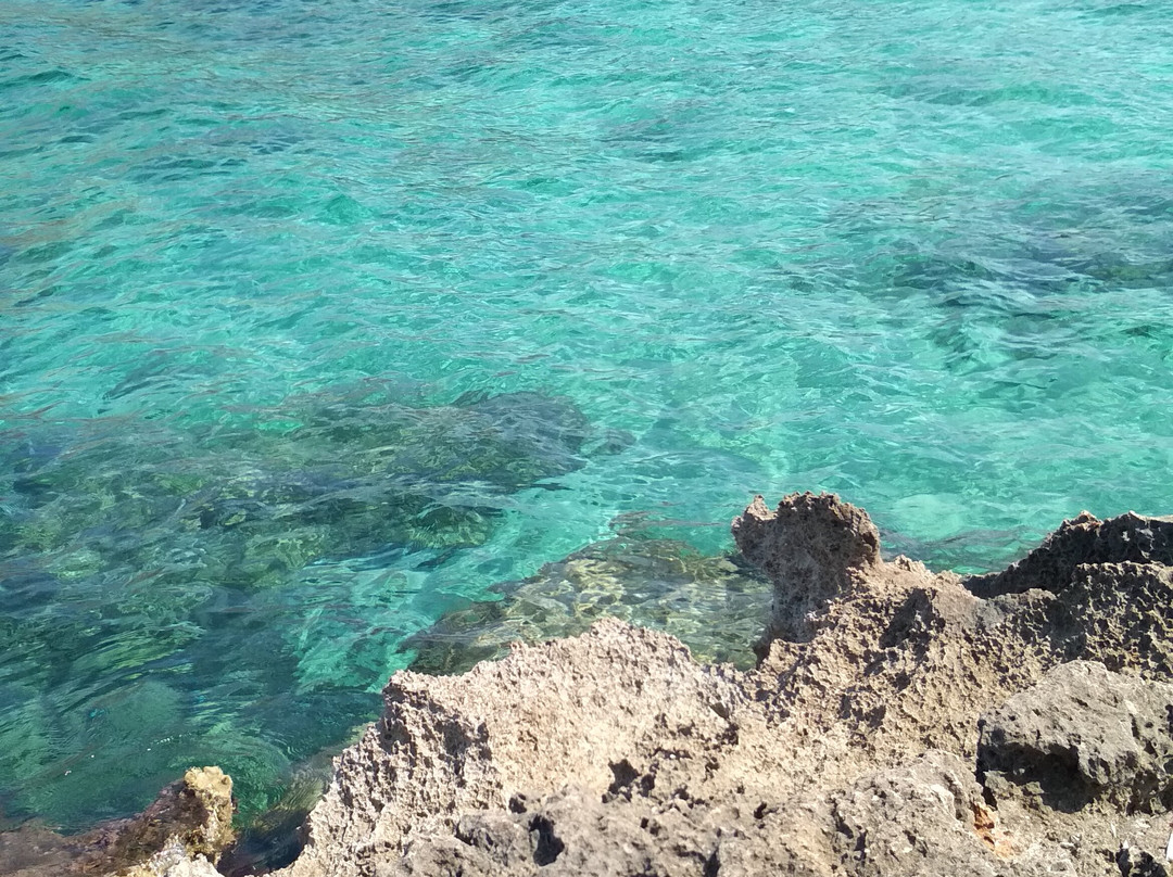 Spiaggia di Seno dell'Arena - Calazza景点图片