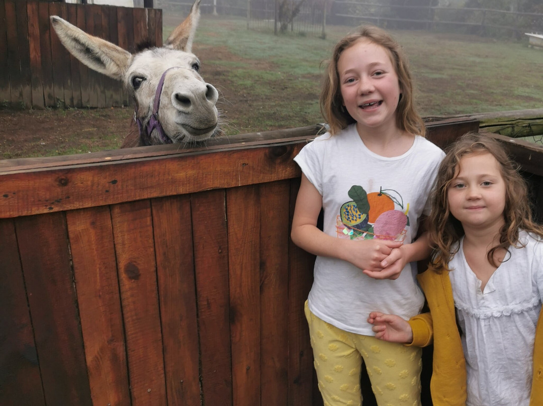 Green Lantern Inn Hotel & Gardens主图