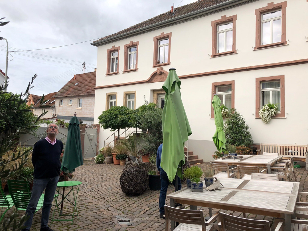 Julius in der Pfalz主图