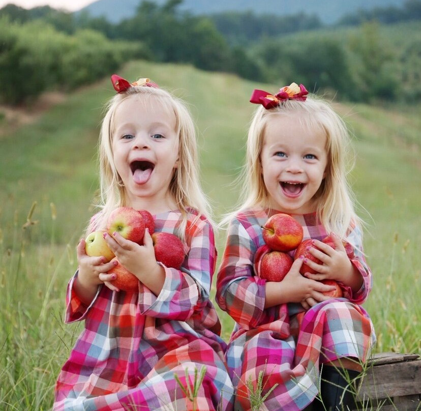 R & A Orchards-Ellijay必去景点