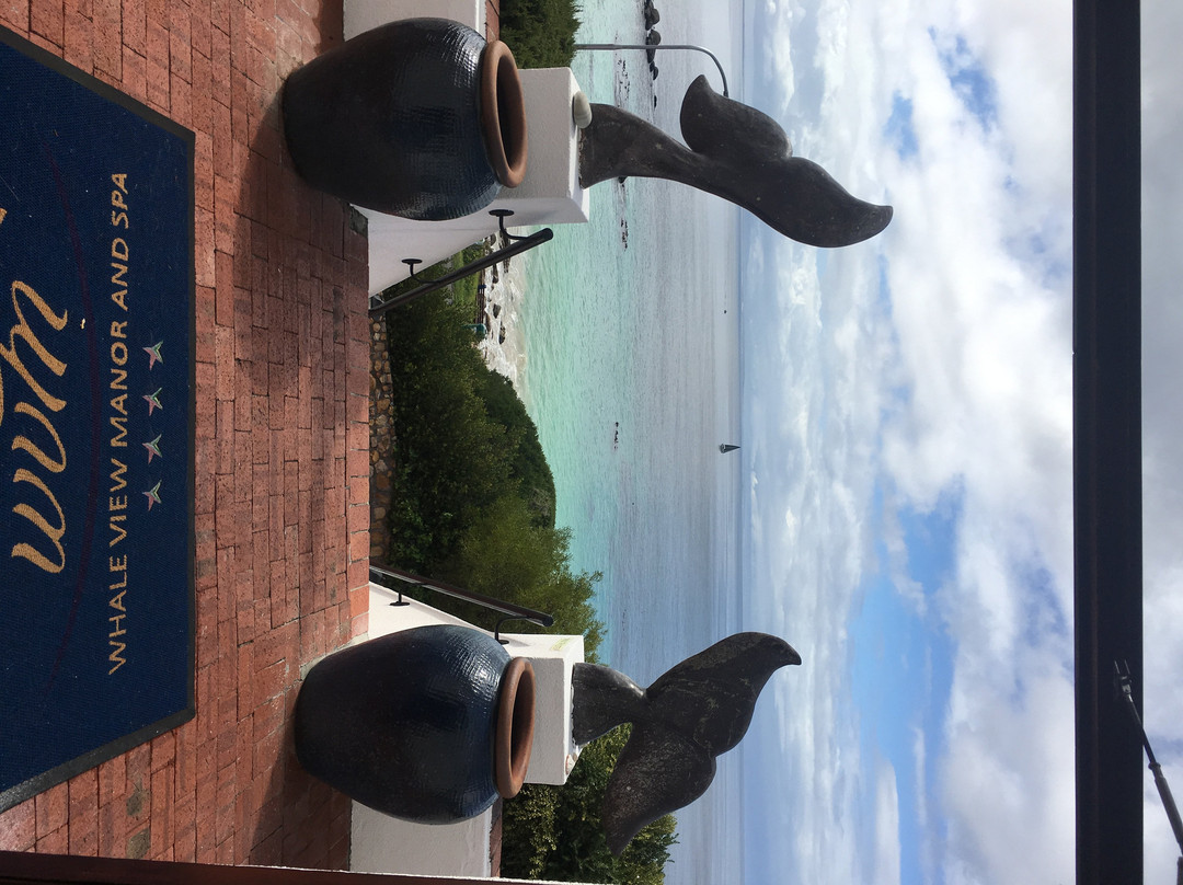 鲸鱼观景庄园旅馆主图