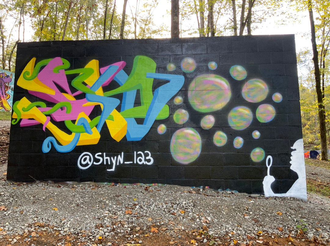 The Walls Art Park-Waverly必去景点