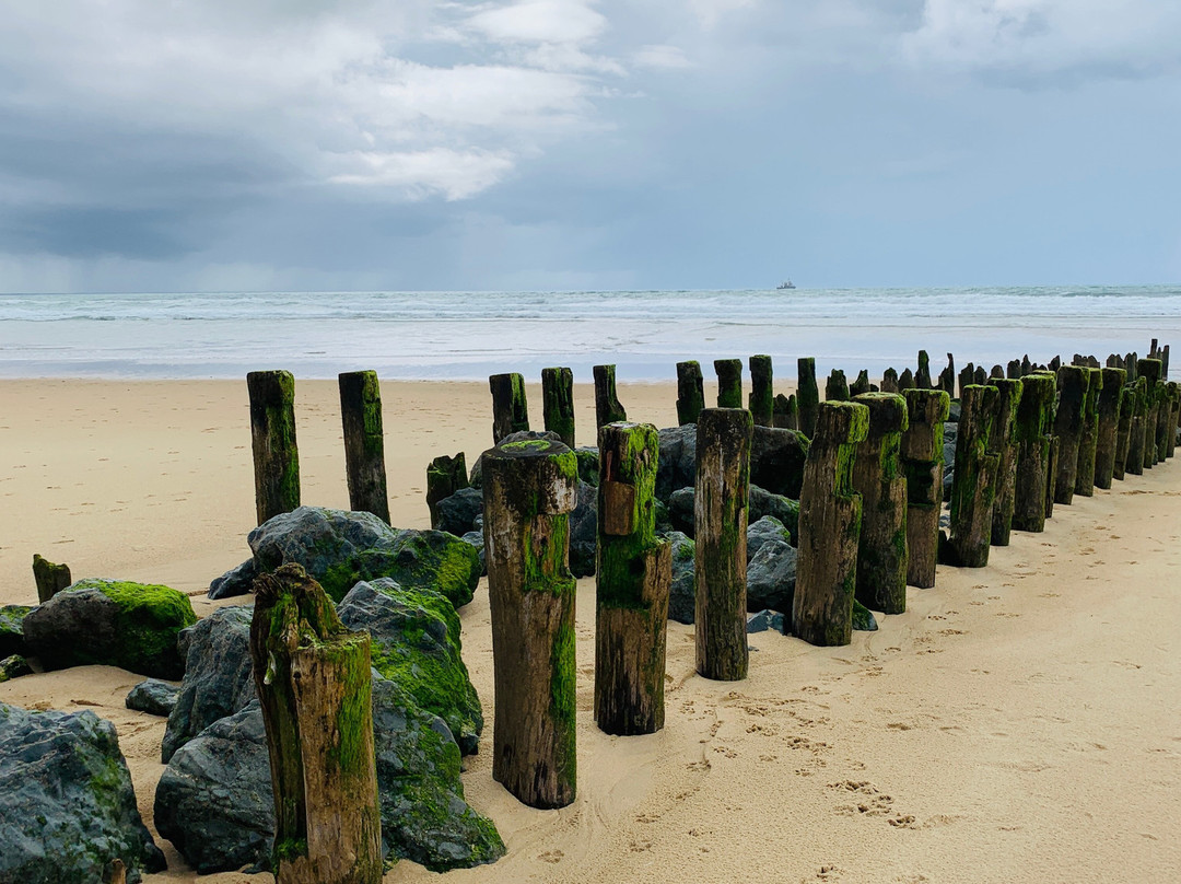 Plage du Penon景点图片