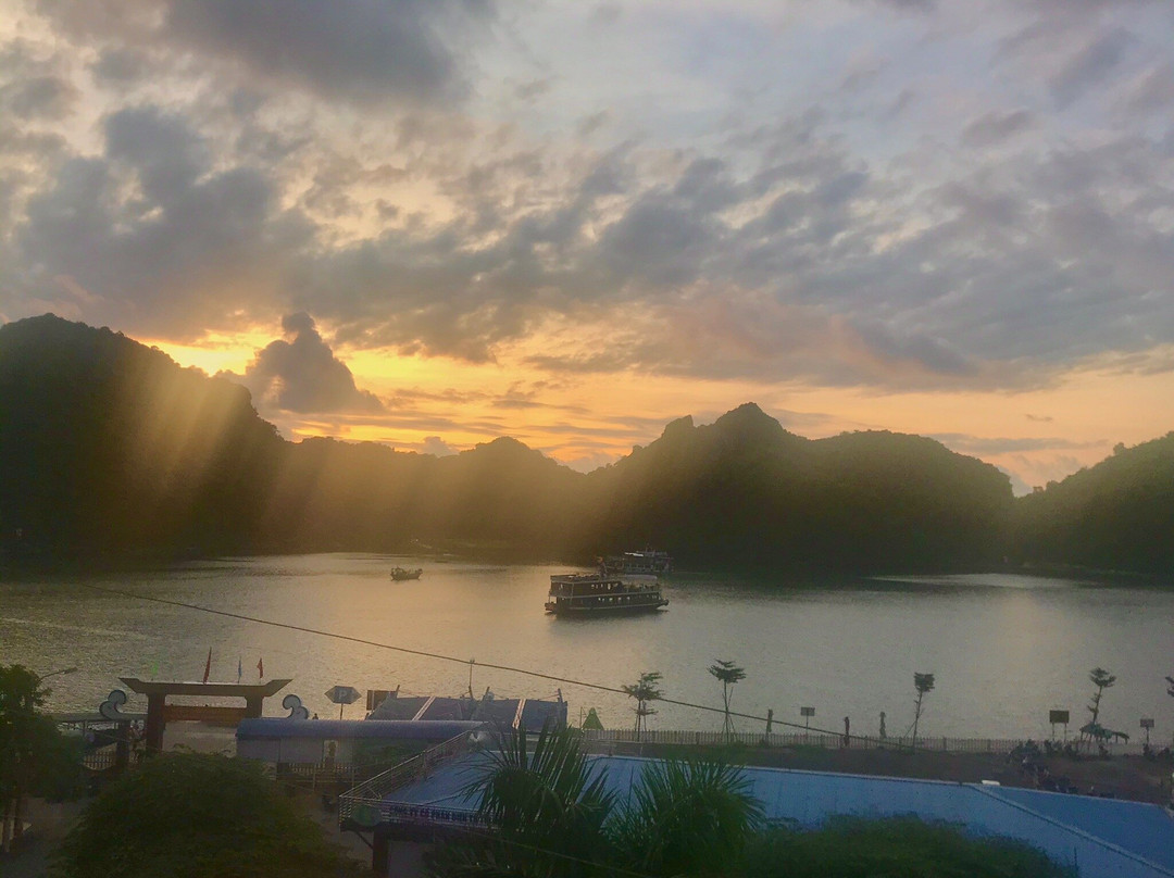 Alibaba's Hotel主图