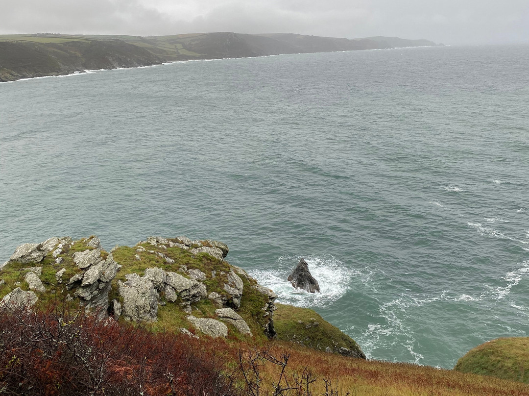 Salcombe to Bolt Head Walk-Salcombe必去景点