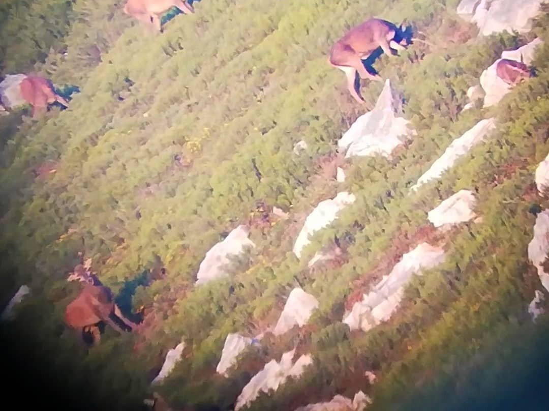Bosque Activo景点图片