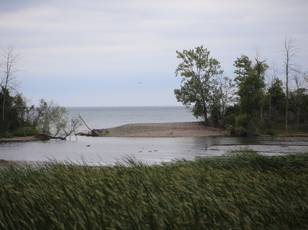 Rattray Marsh Conservation Area景点图片