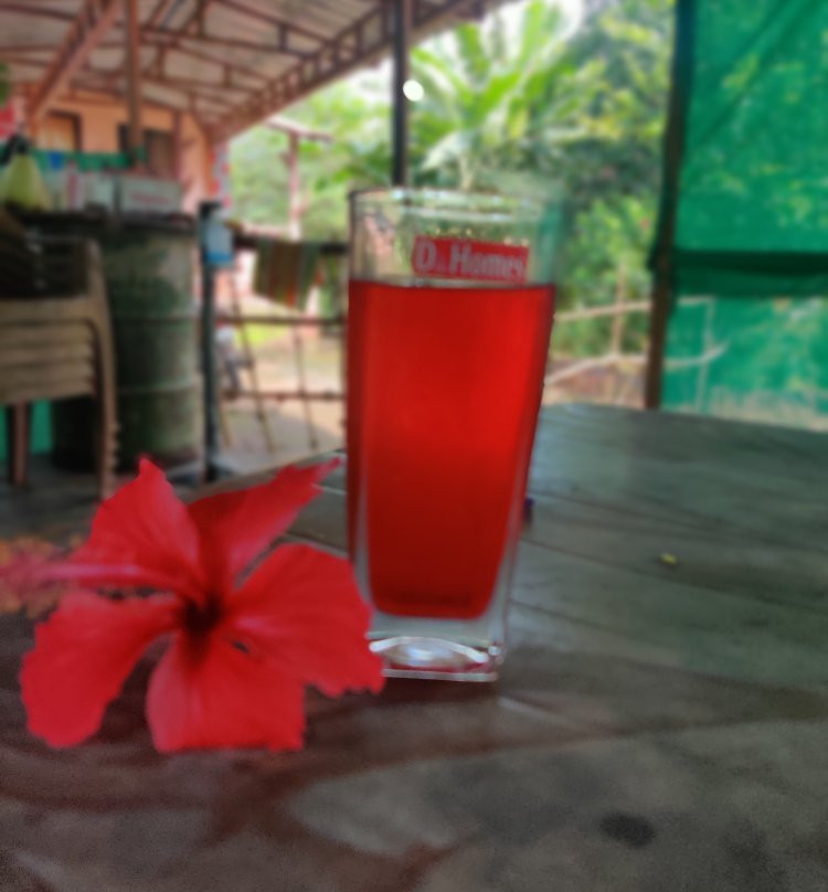 Aajol - The Village Homestay主图