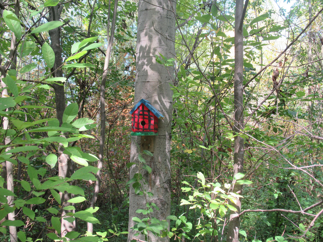 The Collingwood Trails-科林伍德必去景点