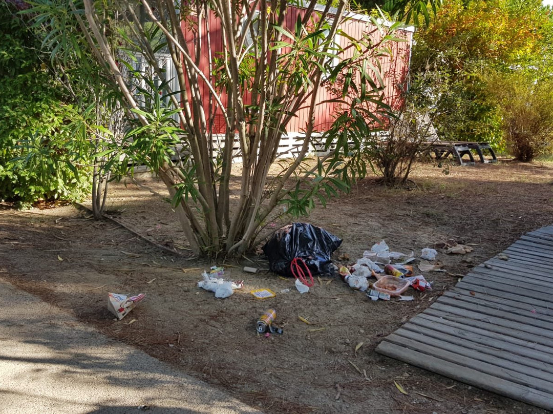Camping Yelloh! Village Les Petits Camarguais主图