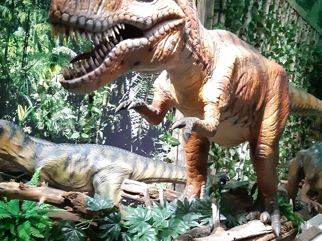 Tirolland-Terfens必去景点