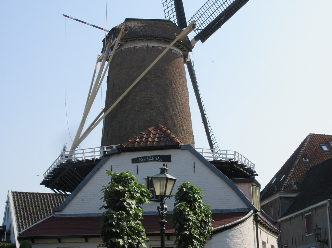 Rijn en Lek Windmill-Wijk bij Duurstede必去景点