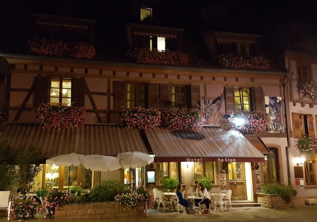 Hôtel Au Lion主图