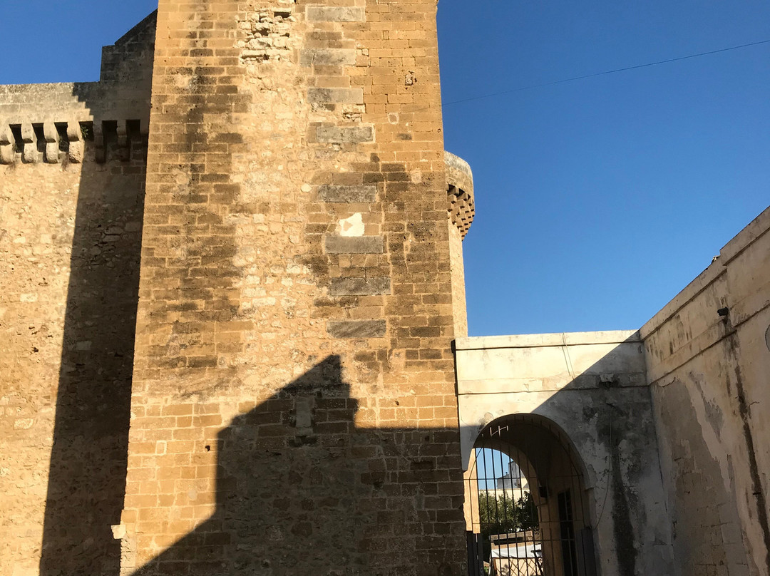 Castello De Falconibus景点图片