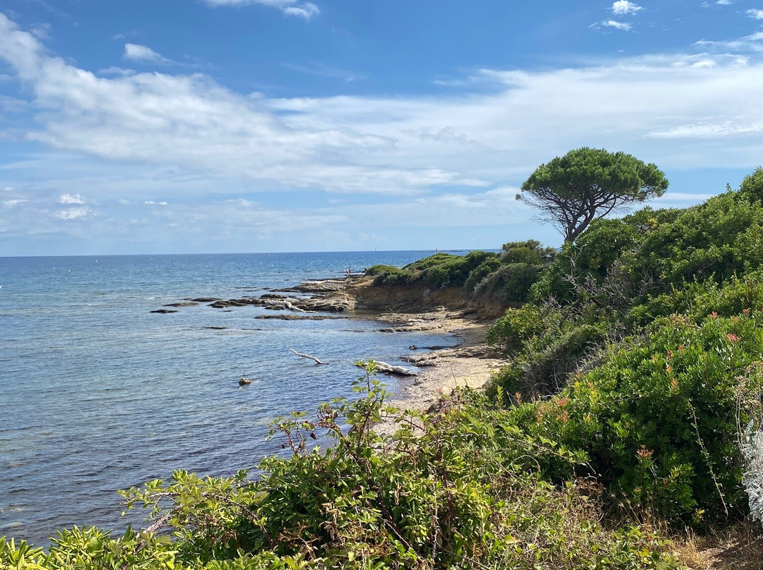 Pointe des Sardinaux景点图片